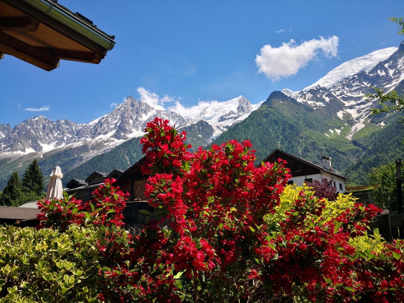 Les Chalets Du Bonheur Les Houches Dış mekan fotoğraf